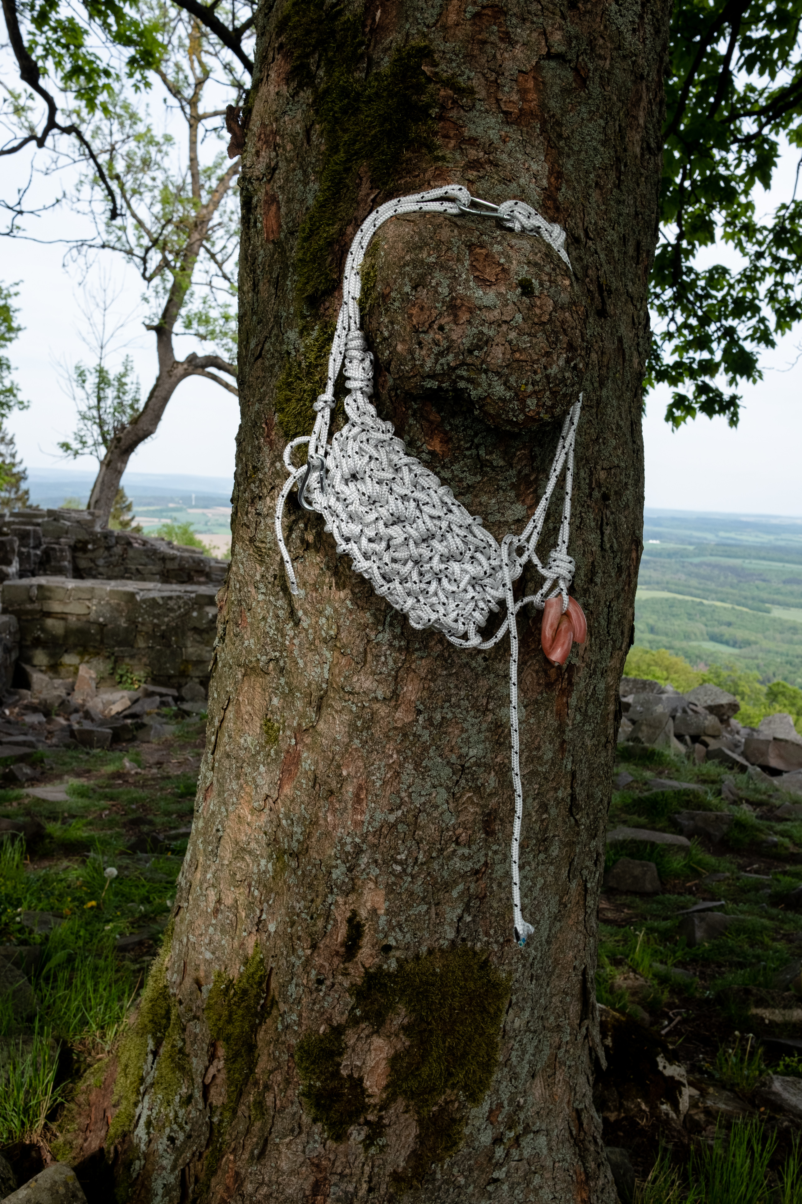 2020 05 Burial Of The White Man For Erik Niedling, Thuringia — Vela Arbutina — Jeronim Horvat